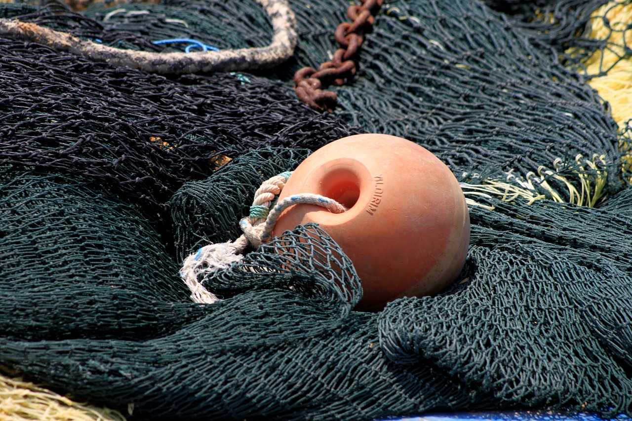 11,000 kg of ‘bonefish’ fishing in the Caspian Sea