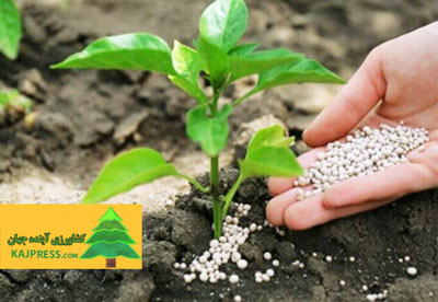 30% of the credit spent toward the general agricultural Fertilizers ought to be instead spent on biologically advanced Fertilizers.