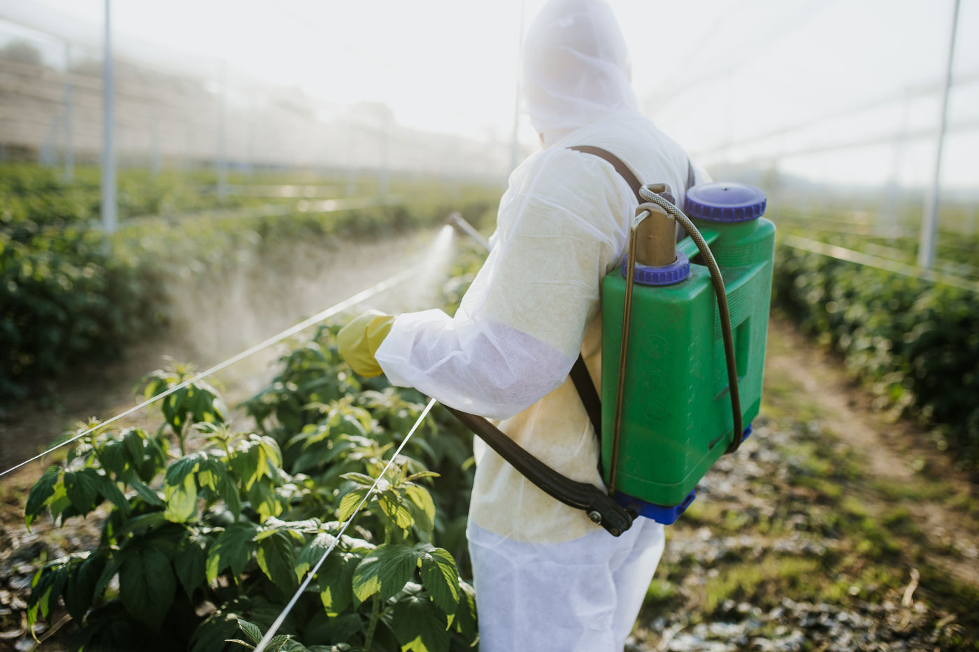 iranianagriculturalnewsagency.com Iran’s agricultural department ( Ministry of Agriculture - Jihad ) is formulating a large-scale strategy to combat the swarms of desert locusts’ attack.