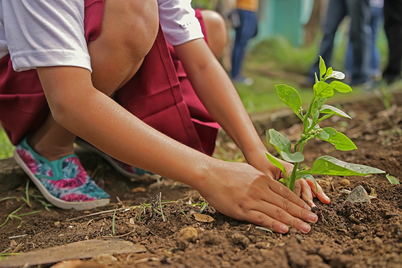 Agriculture In Iran: Implementation of 37 new ‘Nursery Sapling Gardens’ within the following year. 