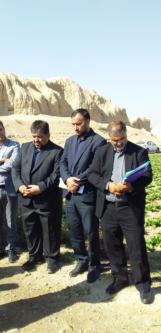 اخبار کشاورزی: ورامین؛ روند رشد یابنده یکپارچه سازی و تجمیع اراضی برای جلوگیری از خرد شدن اراضی
