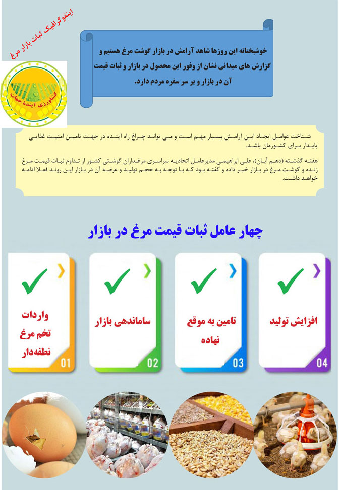 اخبار-کشاورزی-ثبات-قیمت-بازار-گوشت-مرغ-اینفوگرافی