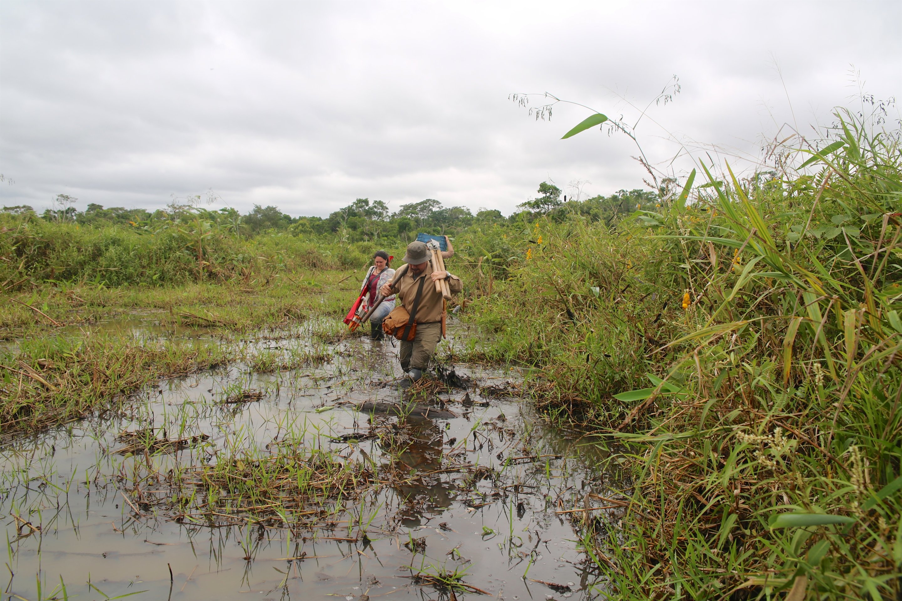 Amazon farmers discovered ...