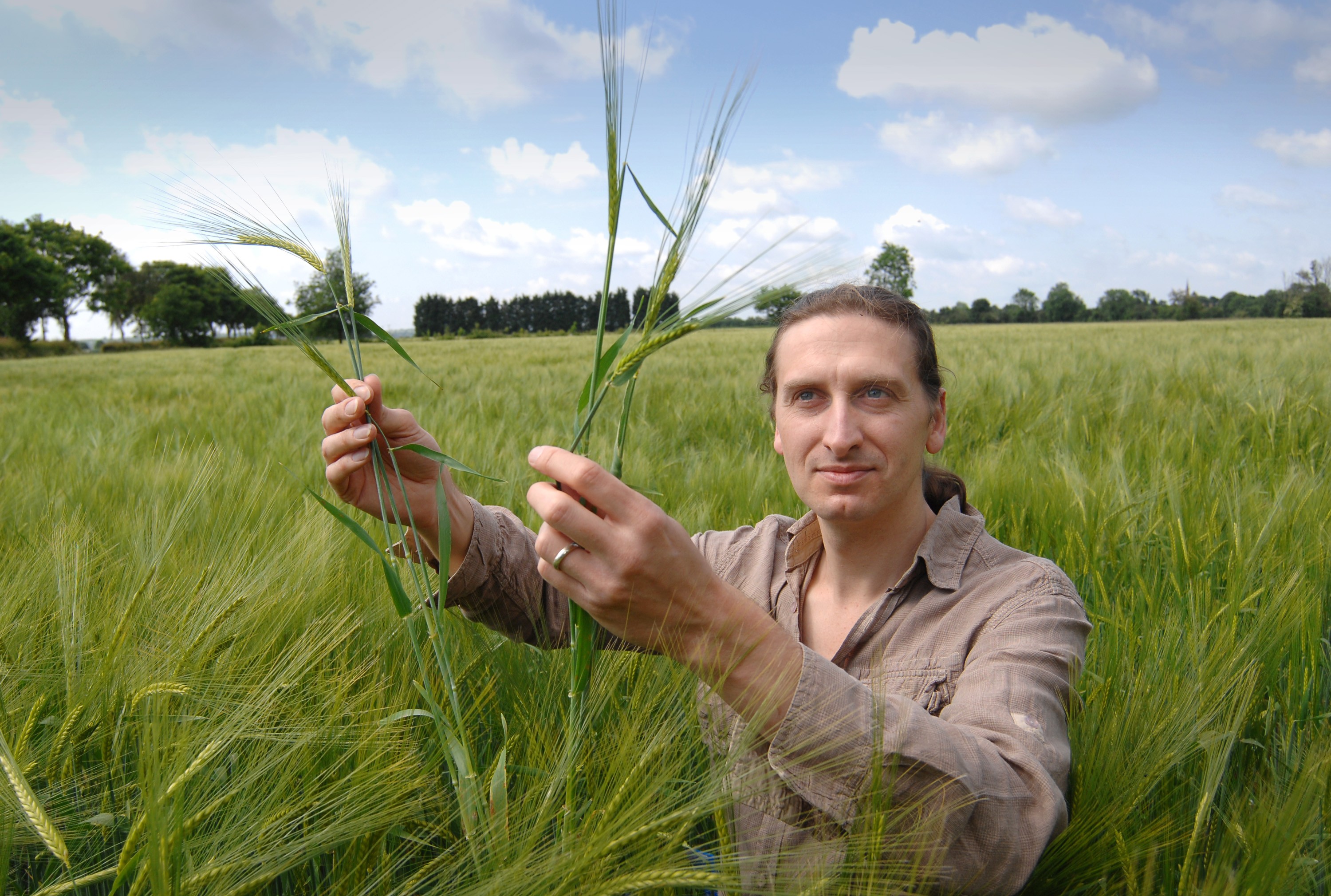 Crops evolving ten millennia ...