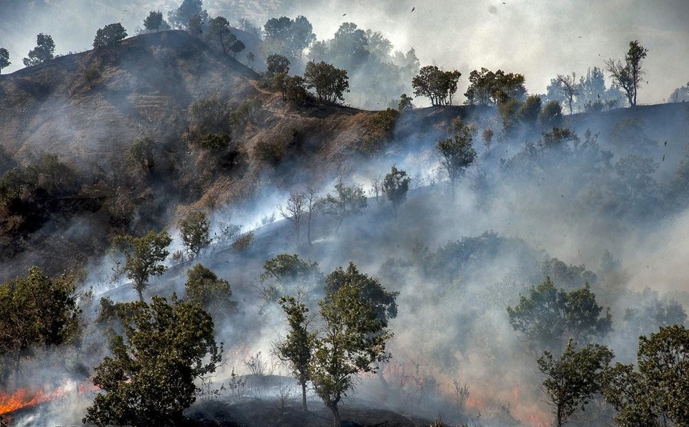 Wildfires in Zagros 