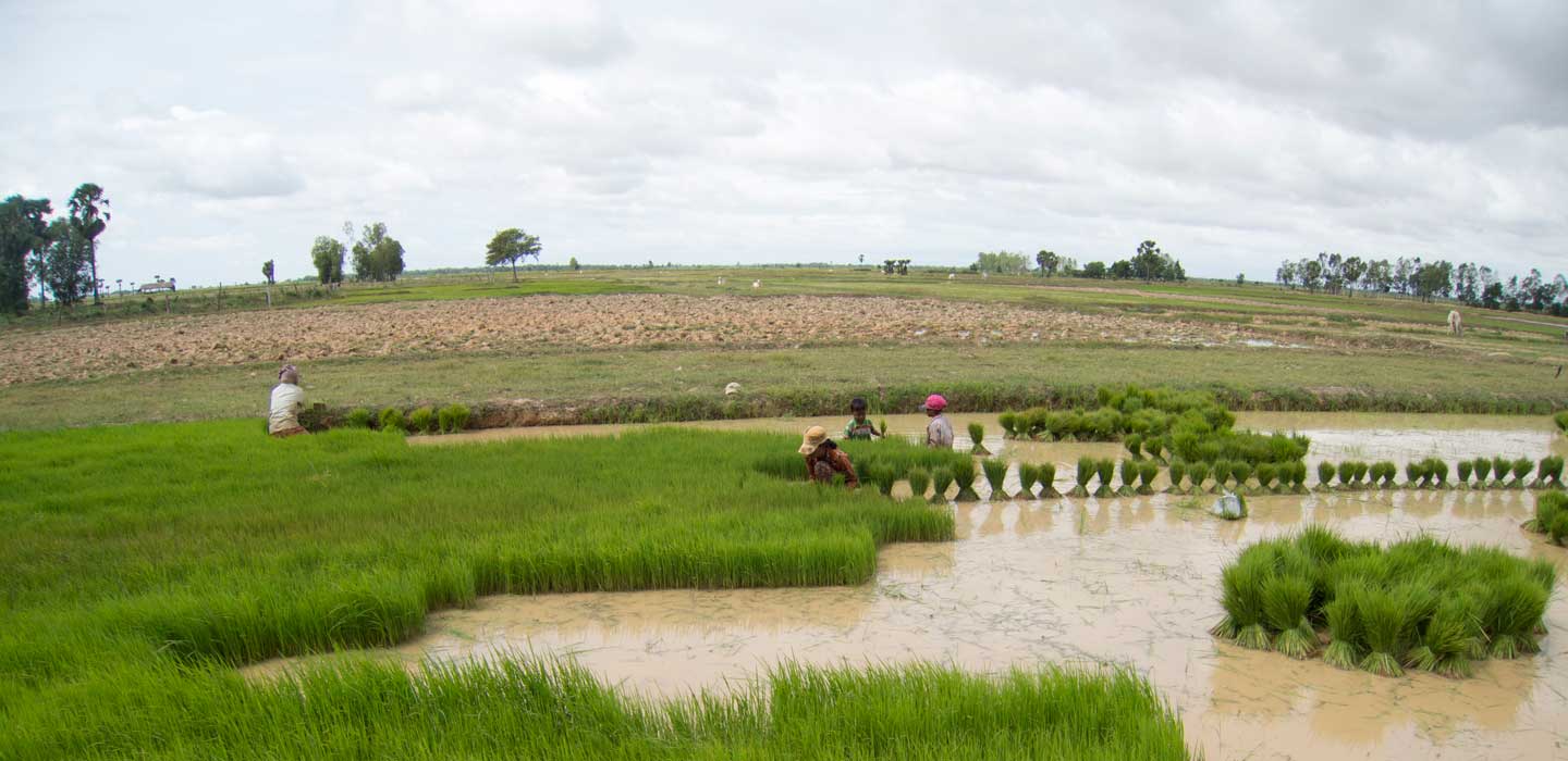 Managing Risk in Agriculture