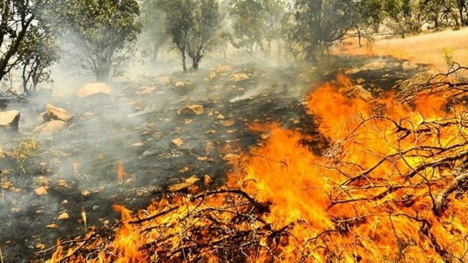 Zagros burned in the fire! + photo