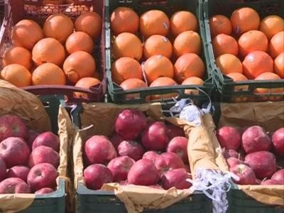 سازمان مرکزی تعاون روستایی با عمده قوا وارد میدان میوه برای تعادل قیمت و ایجاد فراوانی شد