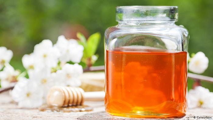 روز جهانی زنبور؛ روز هشدار برای «خطر نابودی نسل زنبورها» را به خاطر بسپاریم