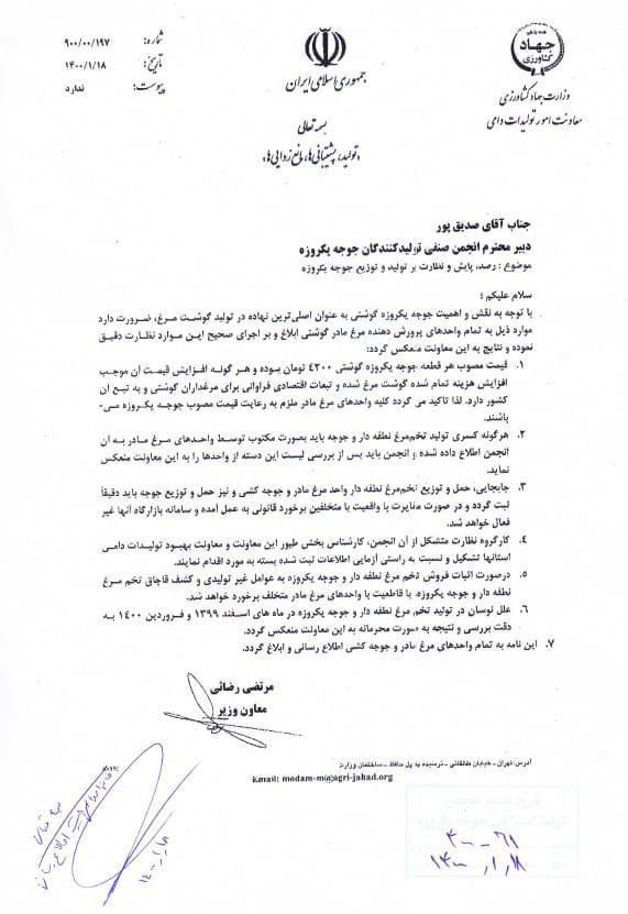 واکنش شدید معاونت امور دام به قیمت جوجه 5300 تومانی
