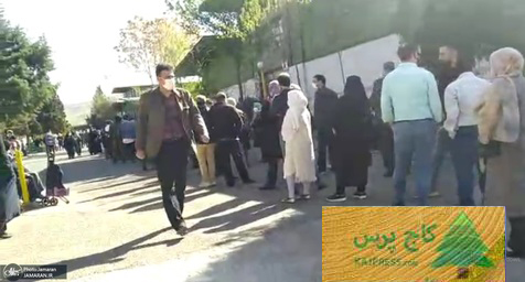 «دم خروس و قسم حضرت عباس» سخنگوی غیر رسمی معاونت امور دام