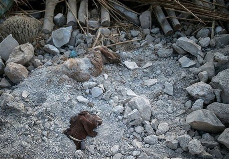 540 billion USD Estimated earthquake damage to Kermanshah agriculture
