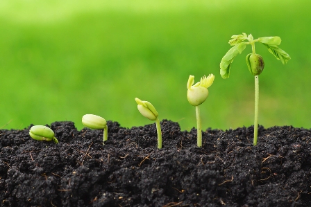A Comprehensive Map for Soil
