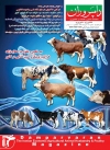 Magazine No.161