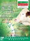 Magazine No.160