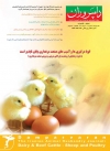 Magazine No.117