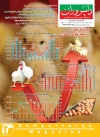Magazine No.162