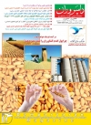 ماهنامه شماره 174