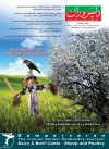 Magazine No.122