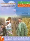 جلد ماهنامه شماره43