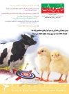 Magazine No.111