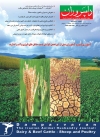 Magazine No.125