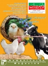 Magazine No.146