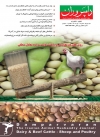 ماهنامه شماره 126