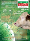 Magazine No.172